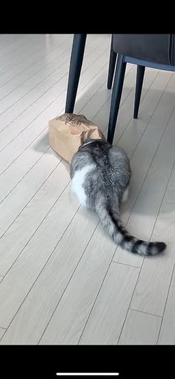 김태양